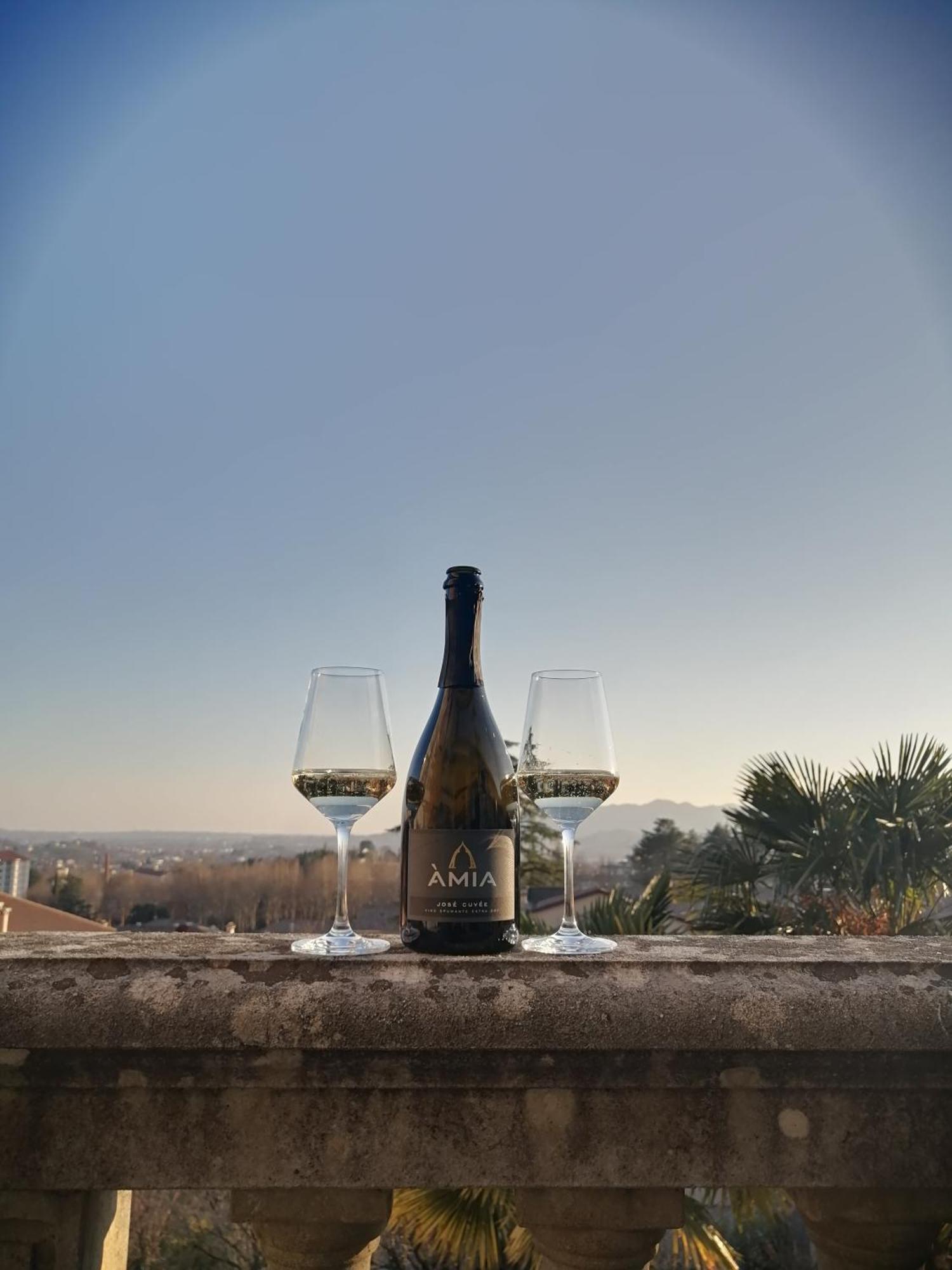 Amia Rooms & Wine 발도비아데네 외부 사진
